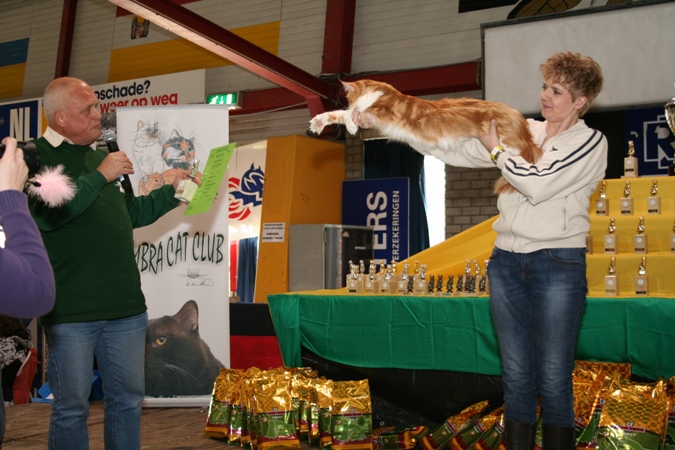 Crosby door Rinus Vasterink